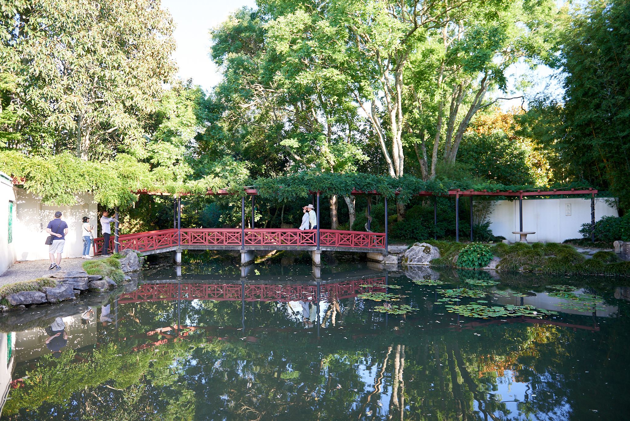 20180129 014 뉴질랜드 해밀턴 가든